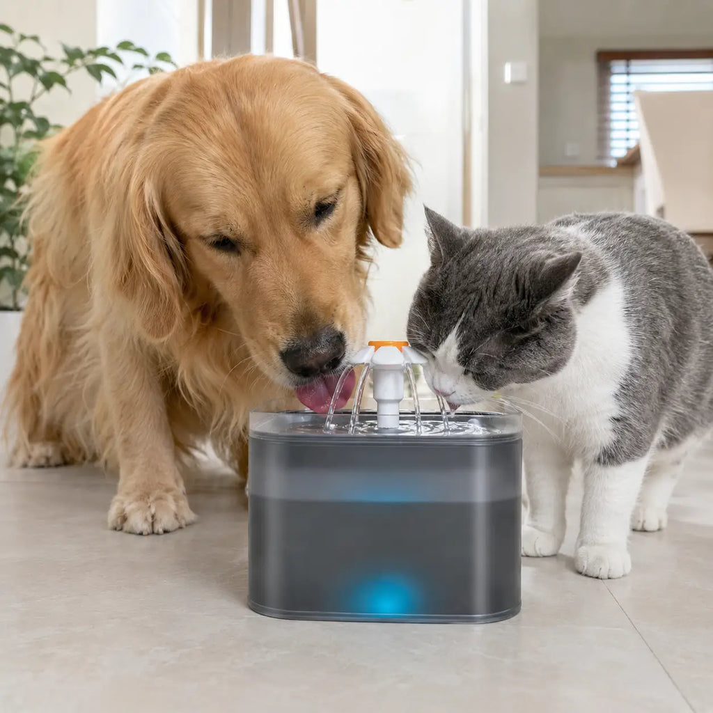 Golden retriever and gray cat drinking water from automatic pet fountain indoors